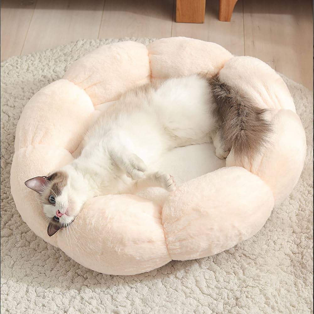 PlushDonut