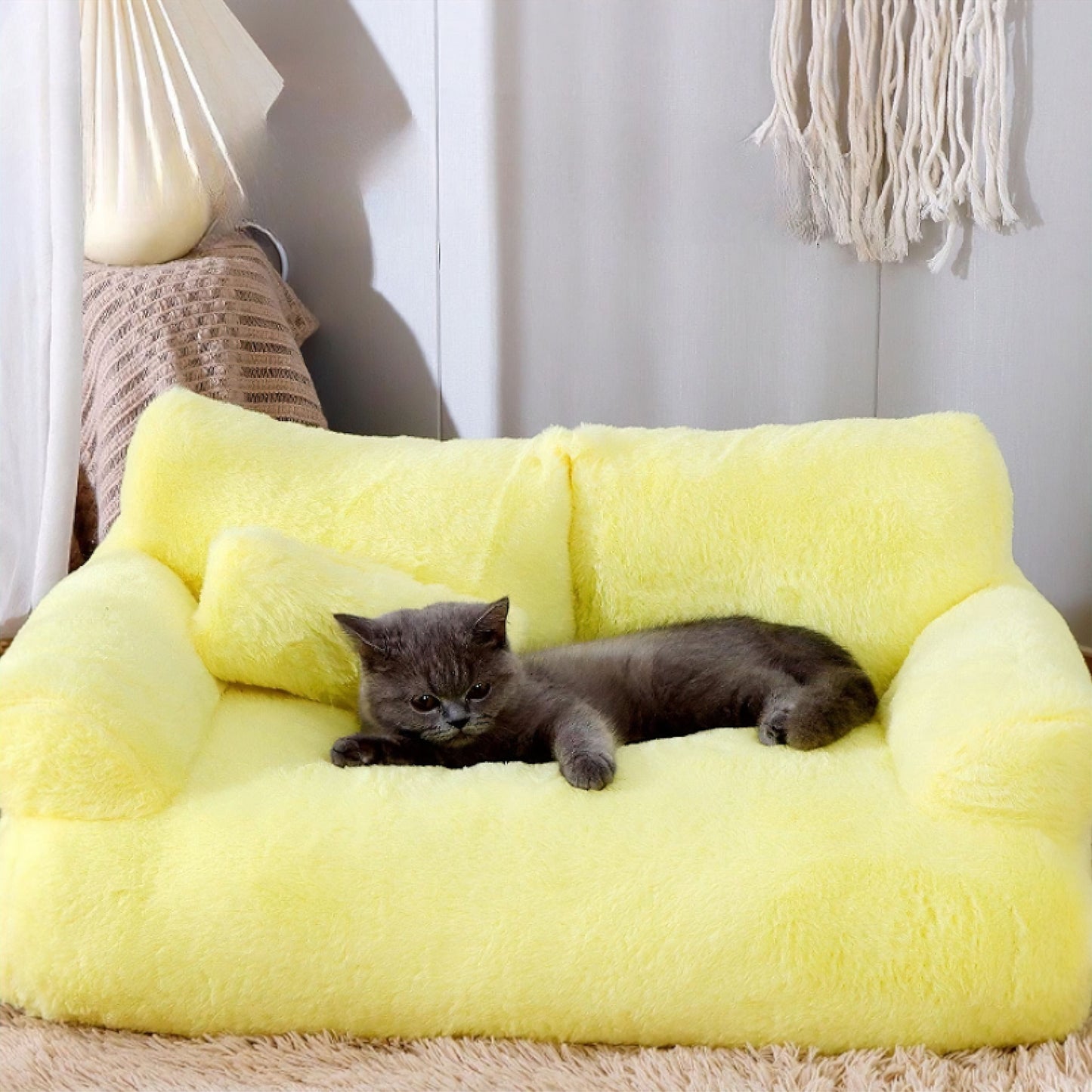 CatSofa