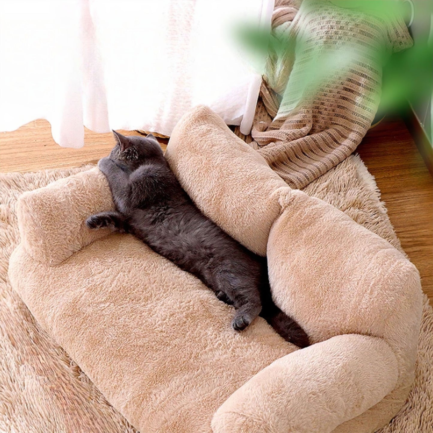 CatSofa